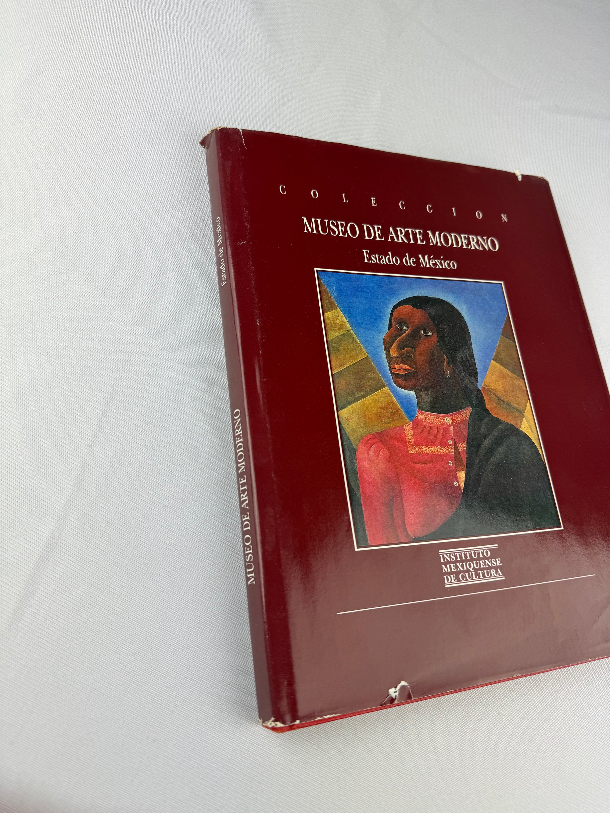 1993 Colección Museo de Arte Moderno: estado de México