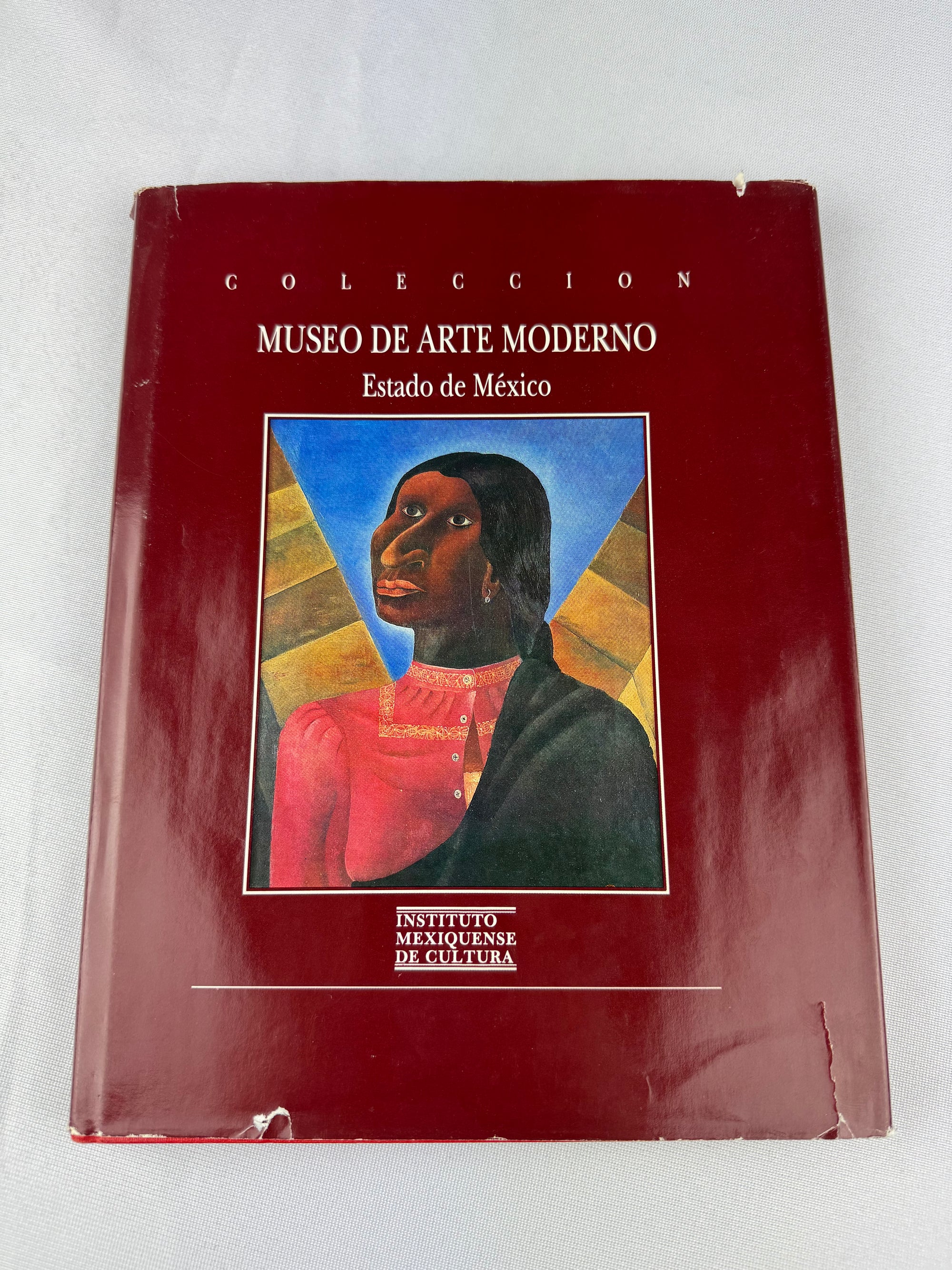 1993 Colección Museo de Arte Moderno: estado de México