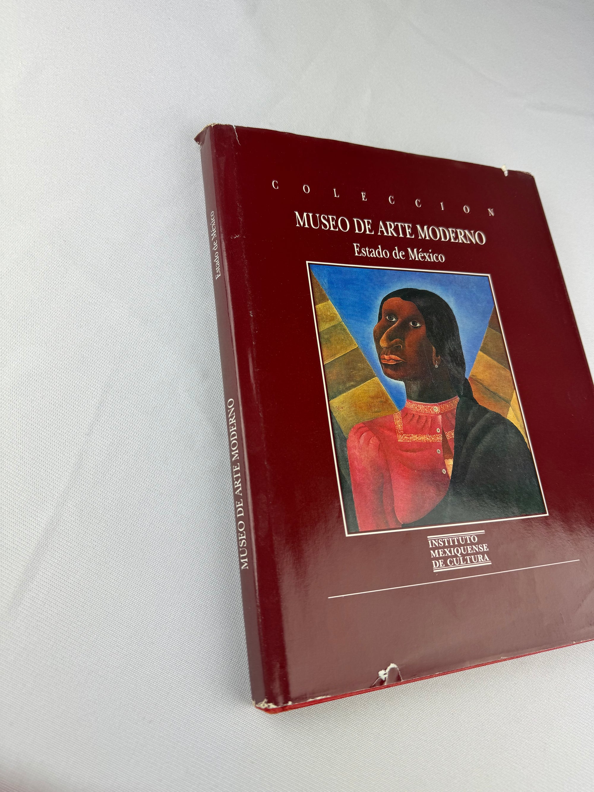 1993 Colección Museo de Arte Moderno: estado de México