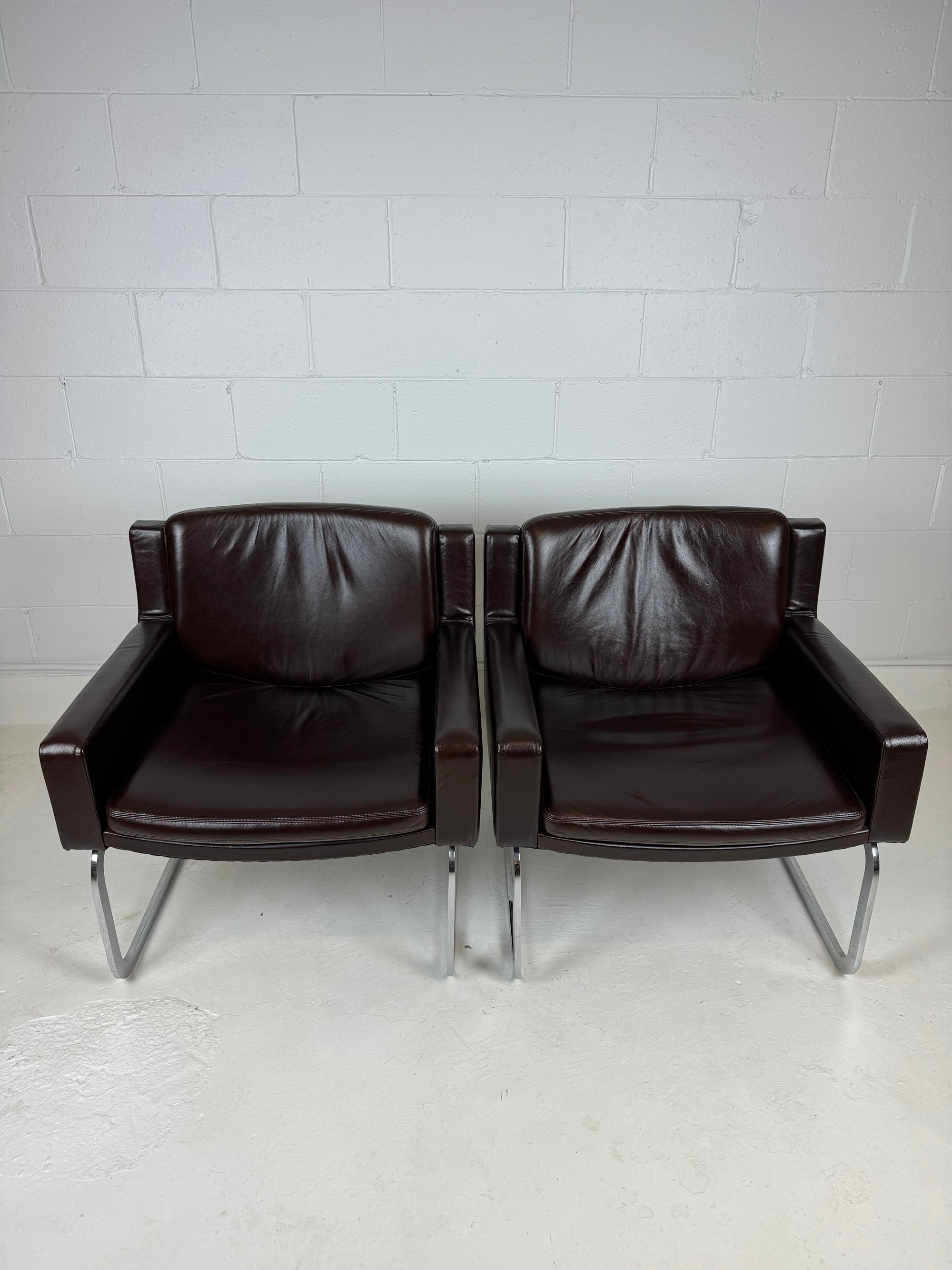 DS-201 Armchair by Robert Haussmann for De Sede